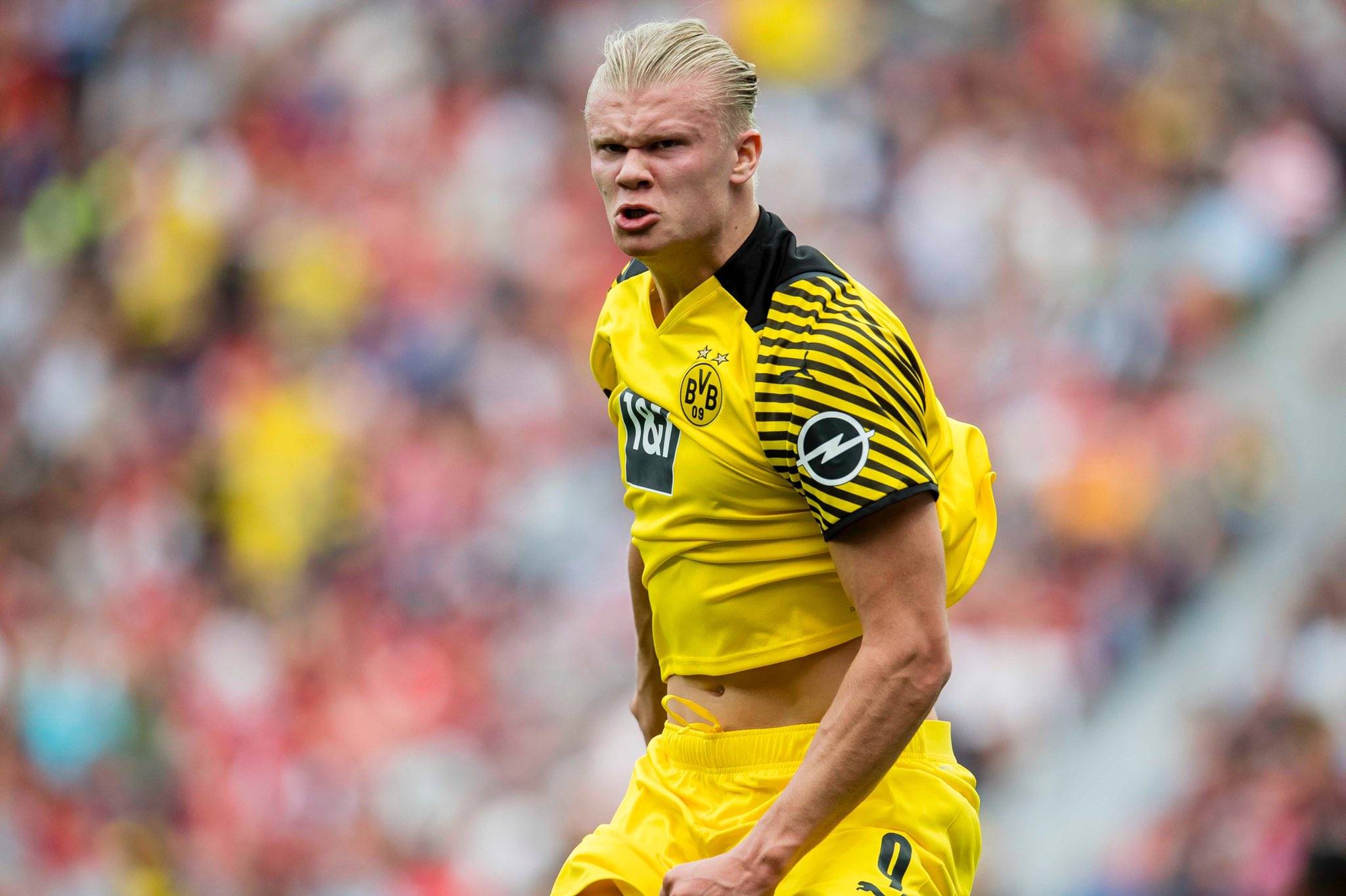 澳超前瞻：西悉尼流浪者德比战意十足，悉尼FC联赛高歌猛进